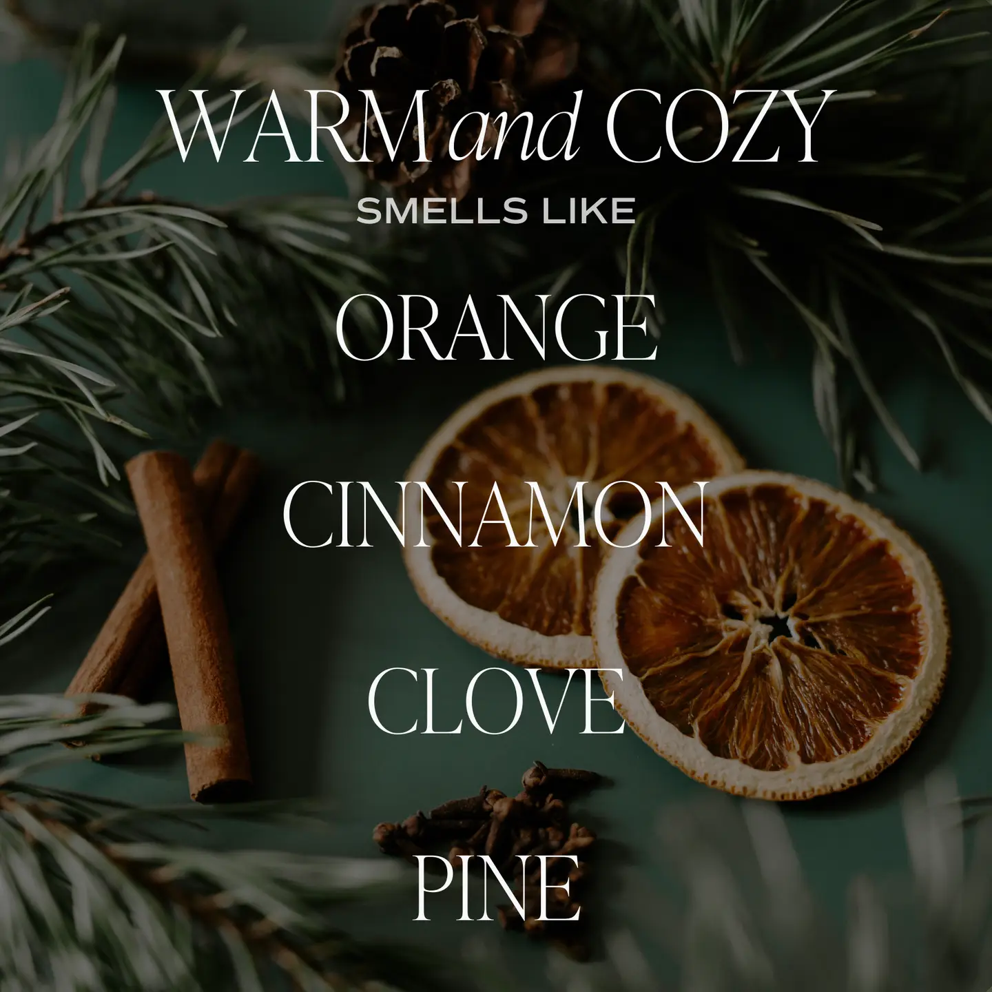 Bougie, Warm & Cosy, Sweet Water Decor, automne, bougie parfumée
